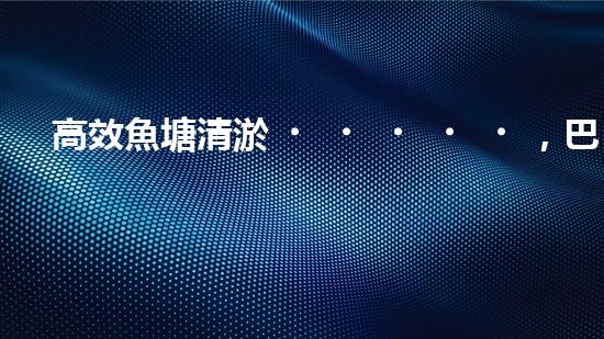 高效魚塘清淤，巴洛仕設備助力生態(tài)養(yǎng)殖